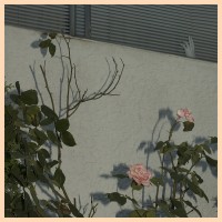 SOFT KILL - Savior  Digipack CD